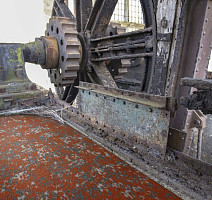 Create Large Create Large 207 Dijon c фото 3 | FLOORDEALER